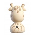 USB-C-stick Giraffe 16GB